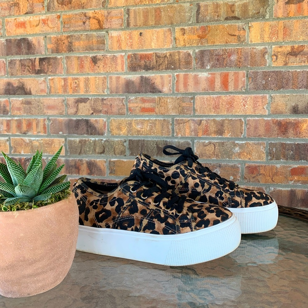 Steve Madden Print Shoes.
